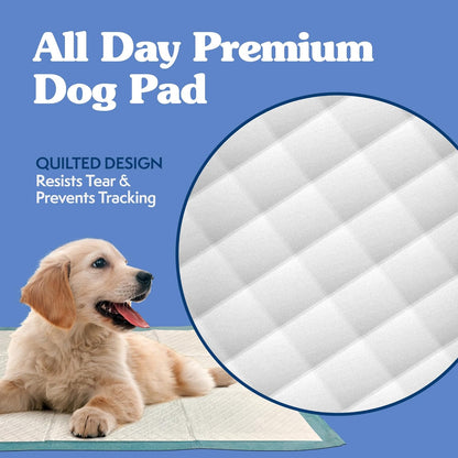 Extra Large Pee Pads for Dogs, Puppy Potty Training, Leak Proof Dog Pads, Pet Pee Pad, Disposable Puppy Pad, XLARGE 28"X30"