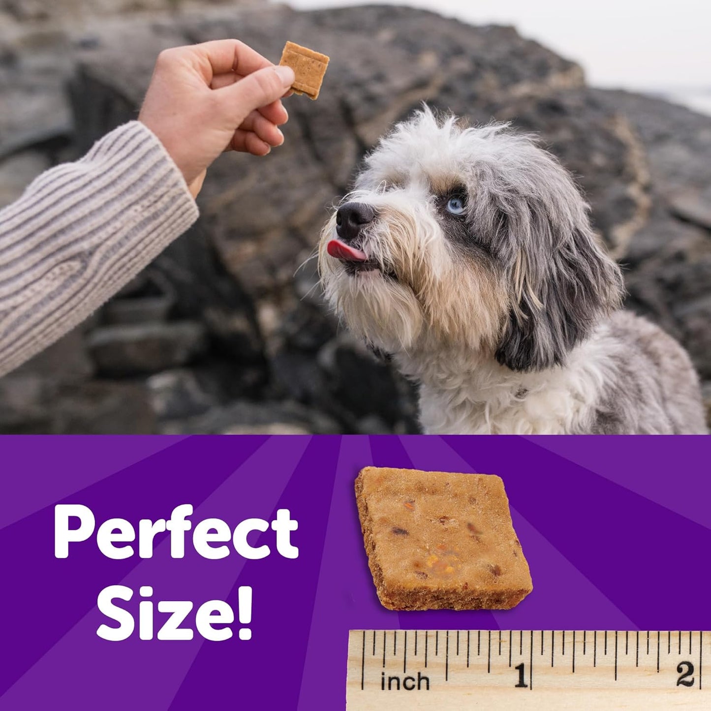 Rewarding Life Dog Treats, Training Treat, Grain Free, Soft Turkey & Duck (6 Ounce Bag)